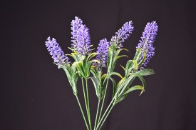 Ramo Lavanda x7 (3).jpg